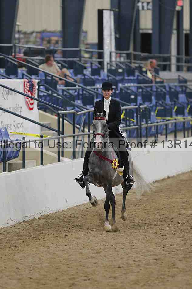 Proof Number 13r14_1542