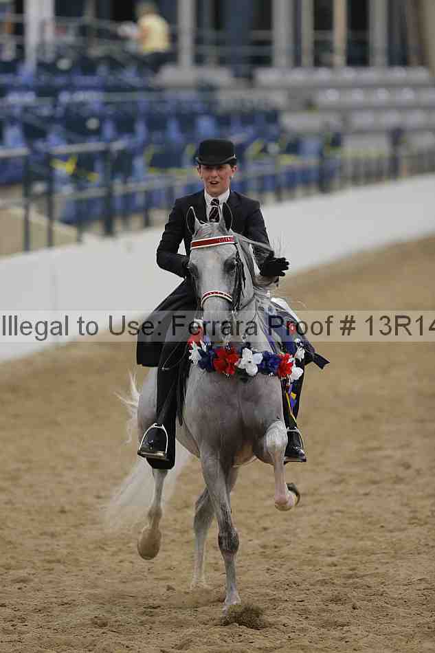 Proof Number 13r14_1545