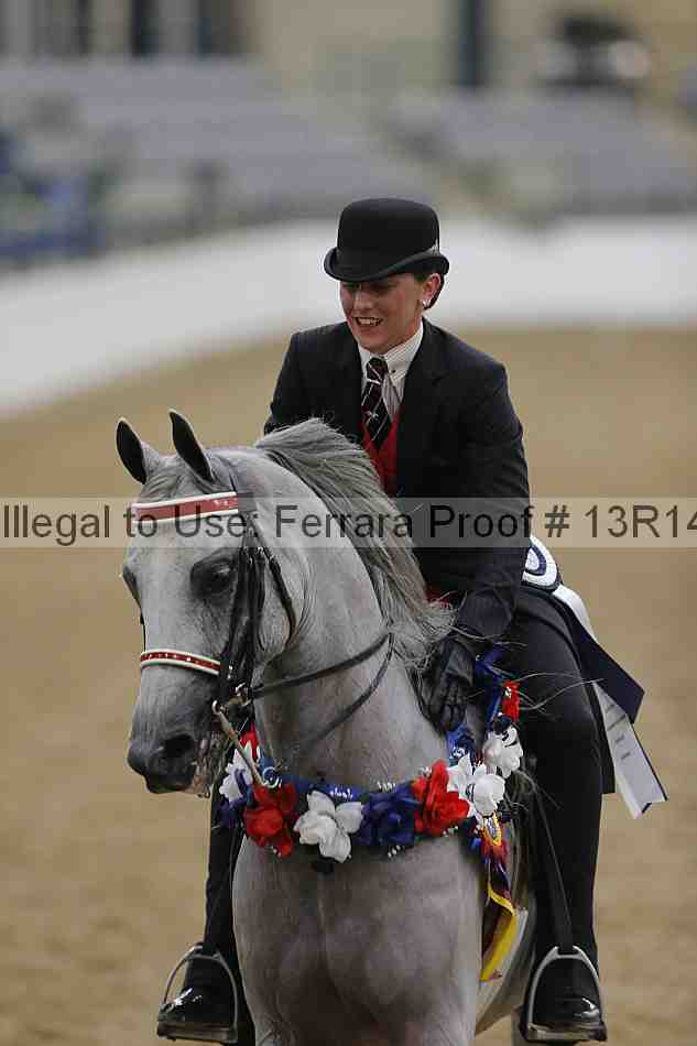 Proof Number 13r14_1546