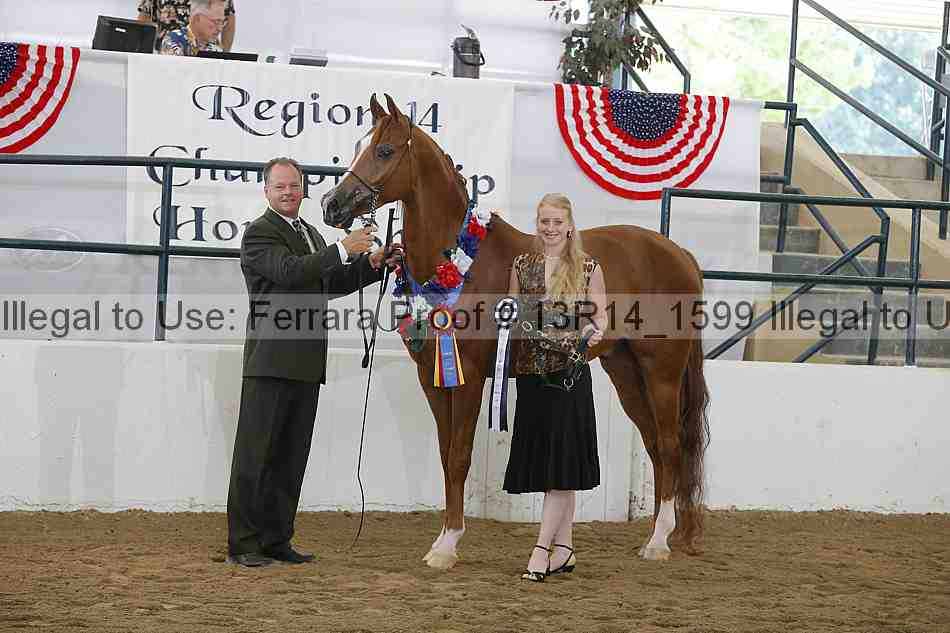 Proof Number 13r14_1599