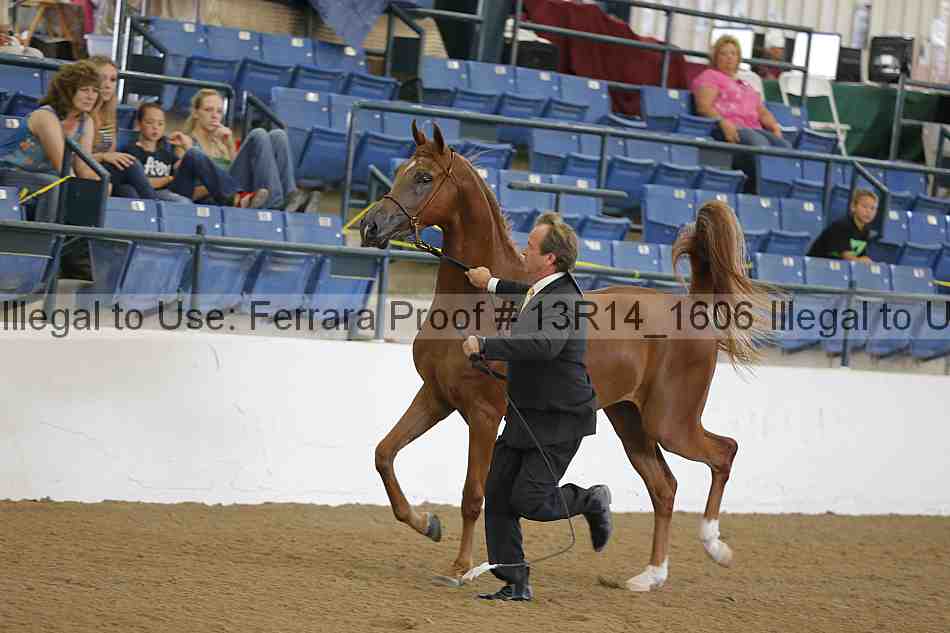Proof Number 13r14_1606