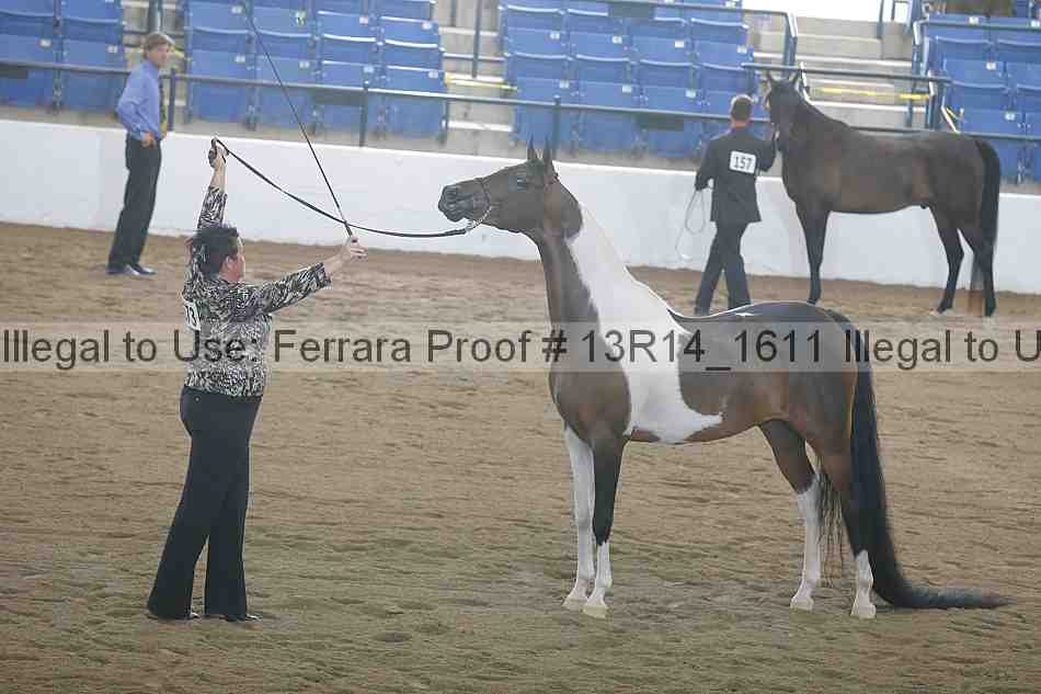 Proof Number 13r14_1611