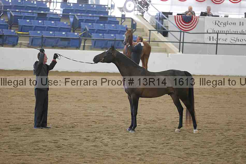 Proof Number 13r14_1613