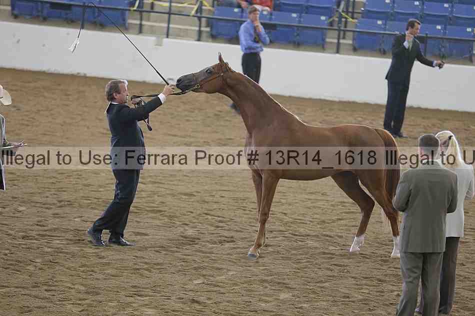 Proof Number 13r14_1618