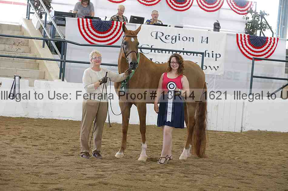 Proof Number 13r14_1621