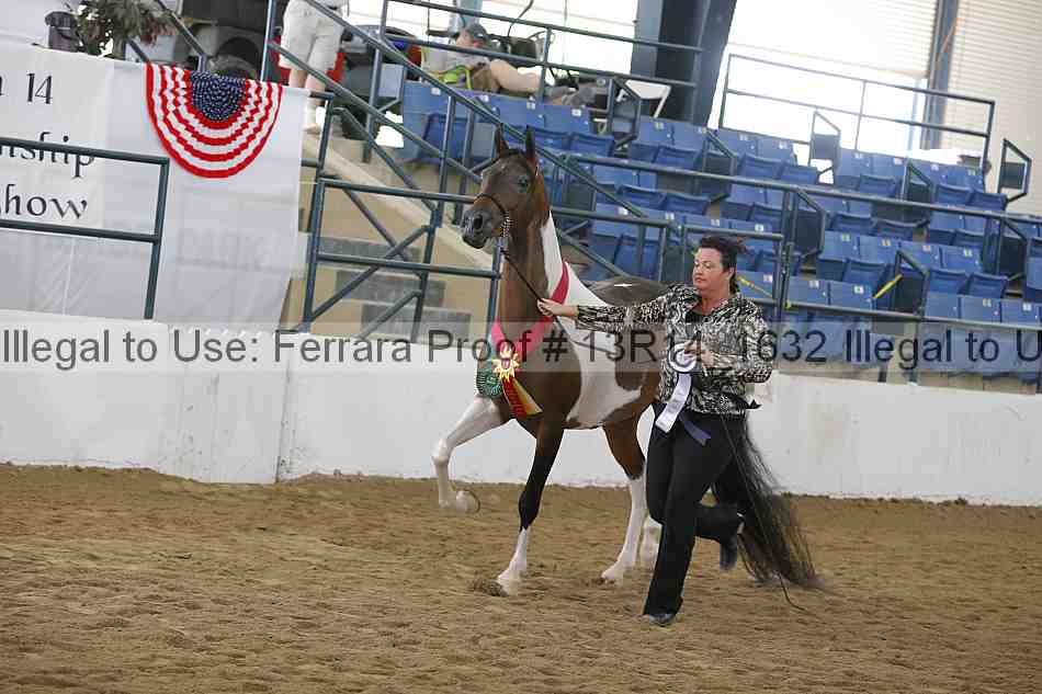 Proof Number 13r14_1632