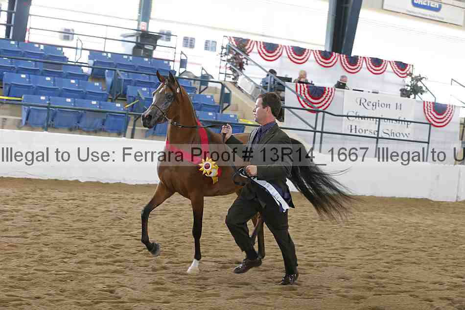 Proof Number 13r14_1667