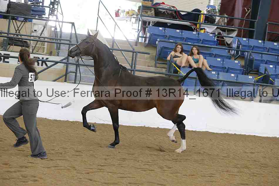 Proof Number 13r14_1671