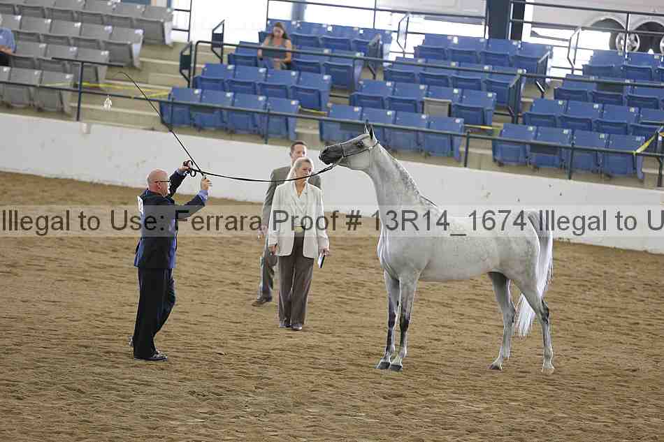Proof Number 13r14_1674
