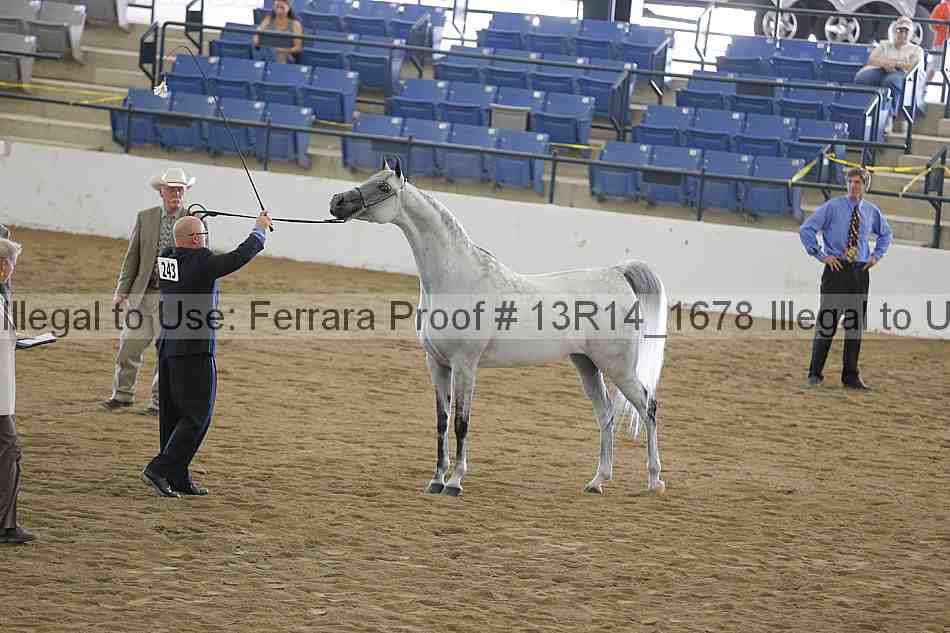 Proof Number 13r14_1678