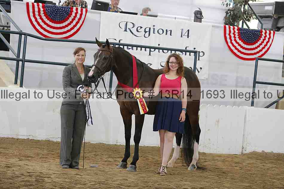 Proof Number 13r14_1693