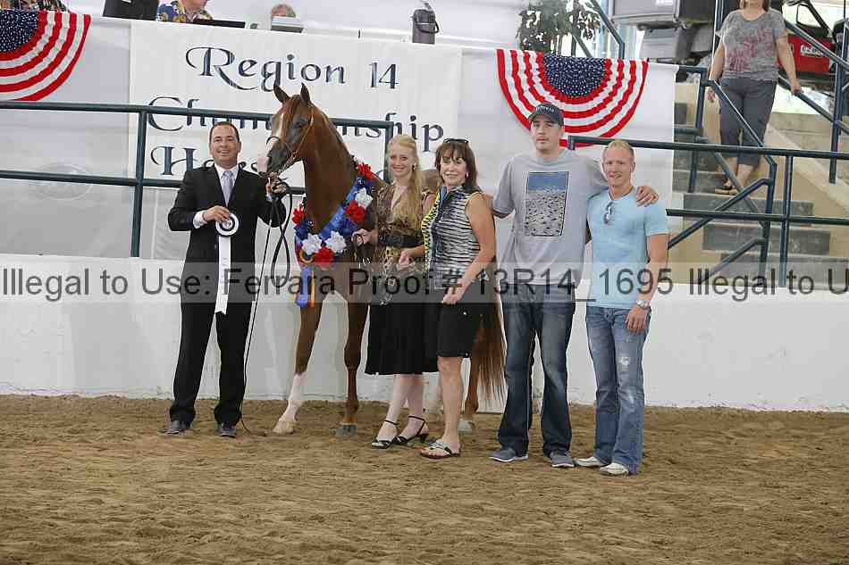 Proof Number 13r14_1695