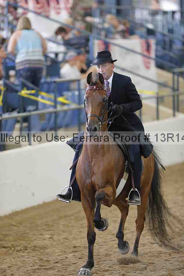 Proof Number 13r14_1713