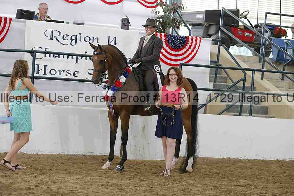 Proof Number 13r14_1729