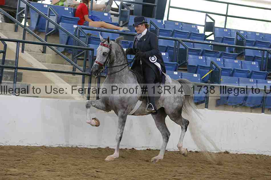 Proof Number 13r14_1738