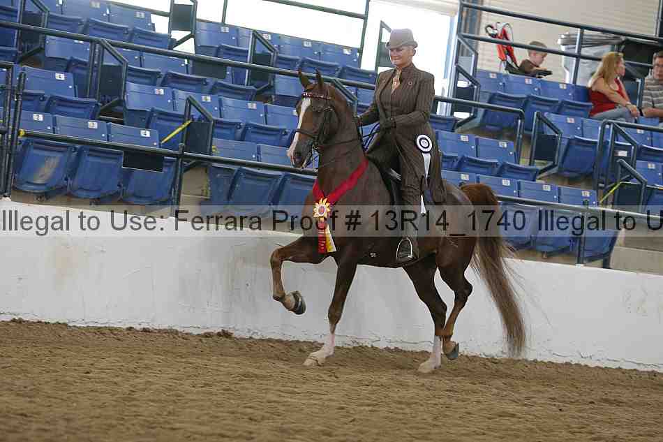 Proof Number 13r14_1740