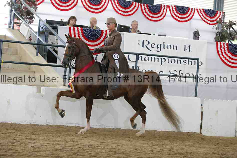 Proof Number 13r14_1741