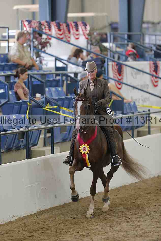 Proof Number 13r14_1744