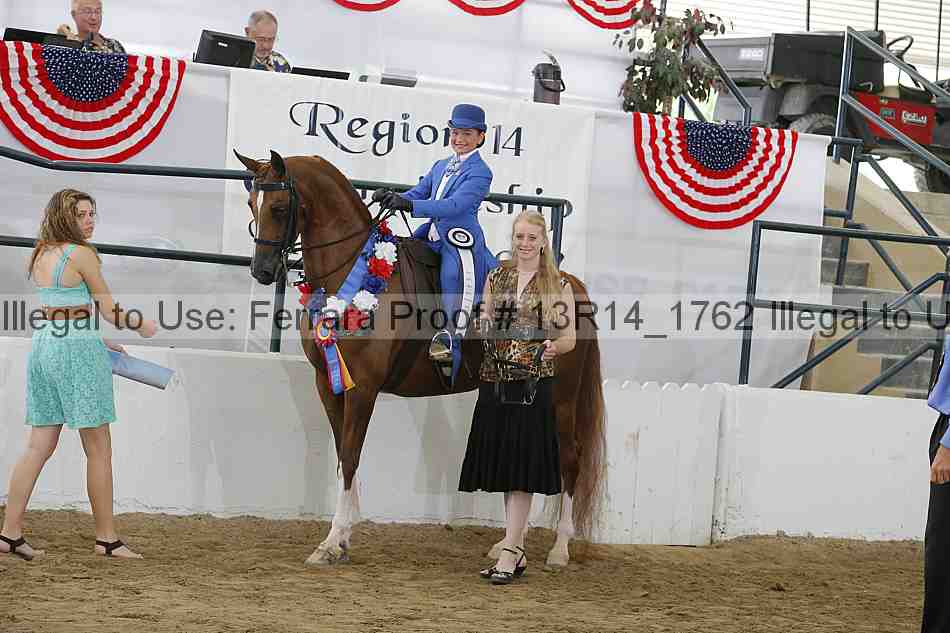 Proof Number 13r14_1762