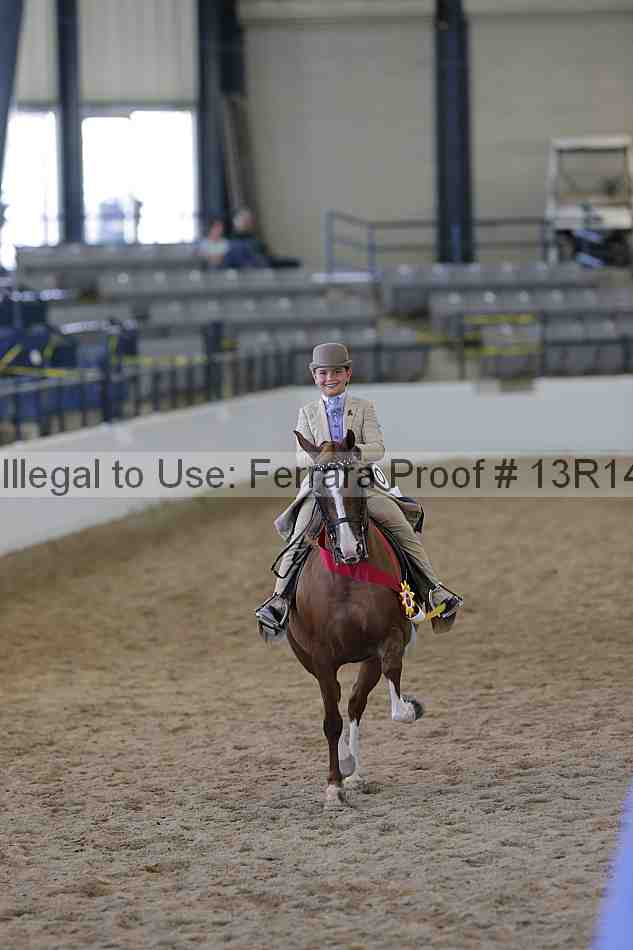 Proof Number 13r14_1774