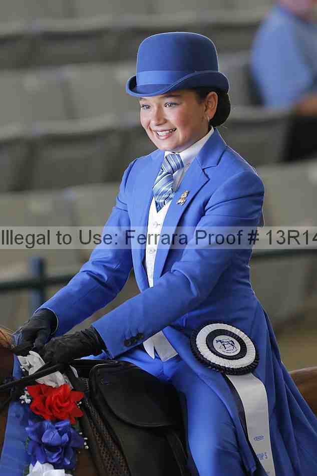 Proof Number 13r14_1784