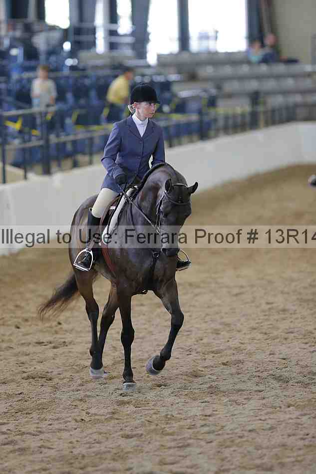Proof Number 13r14_1799