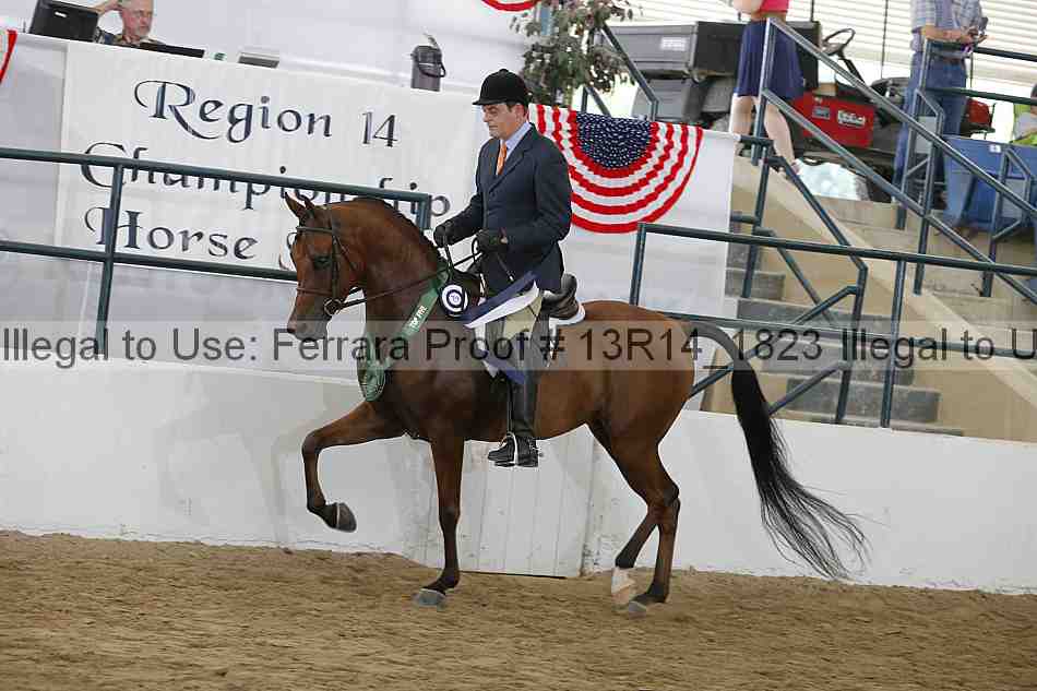 Proof Number 13r14_1823