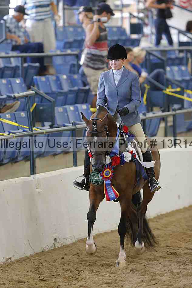 Proof Number 13r14_1833