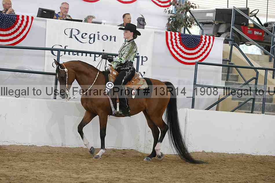 Proof Number 13r14_1908