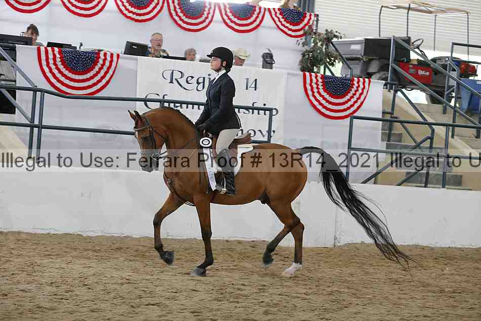 Proof Number 13r14_2021