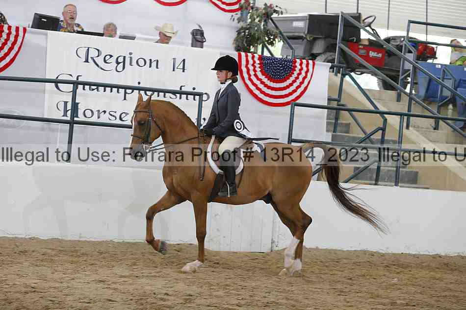 Proof Number 13r14_2023