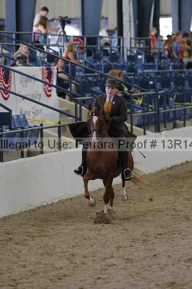 Proof Number 13r14_2046
