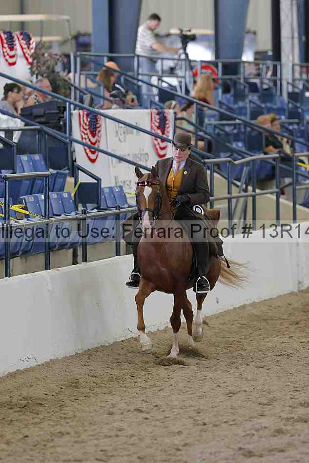 Proof Number 13r14_2059