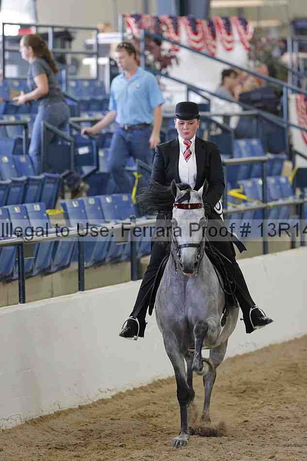 Proof Number 13r14_2063