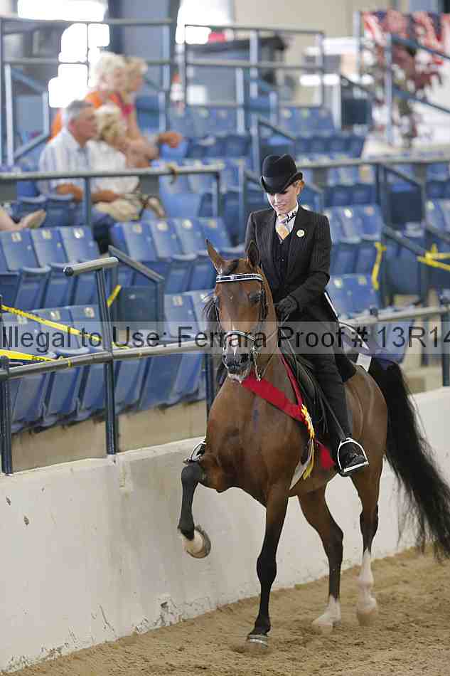Proof Number 13r14_2064
