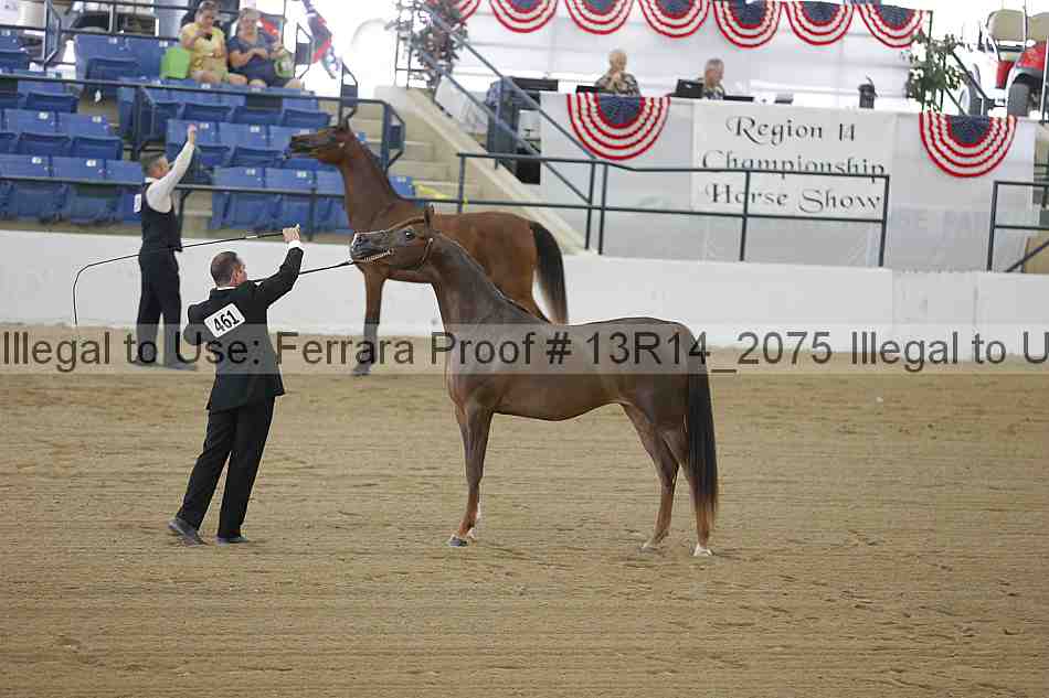 Proof Number 13r14_2075