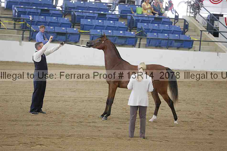 Proof Number 13r14_2078
