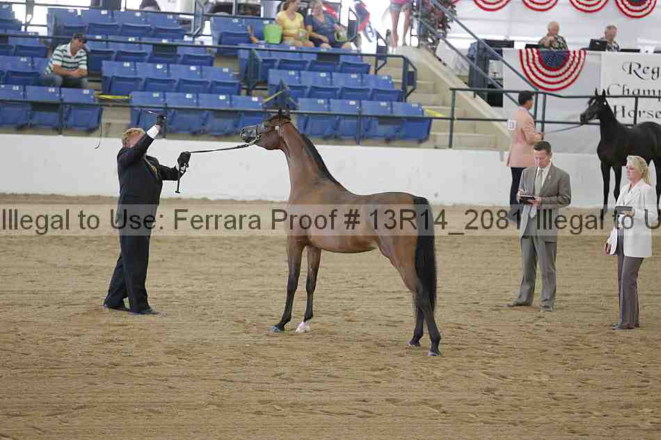 Proof Number 13r14_2081