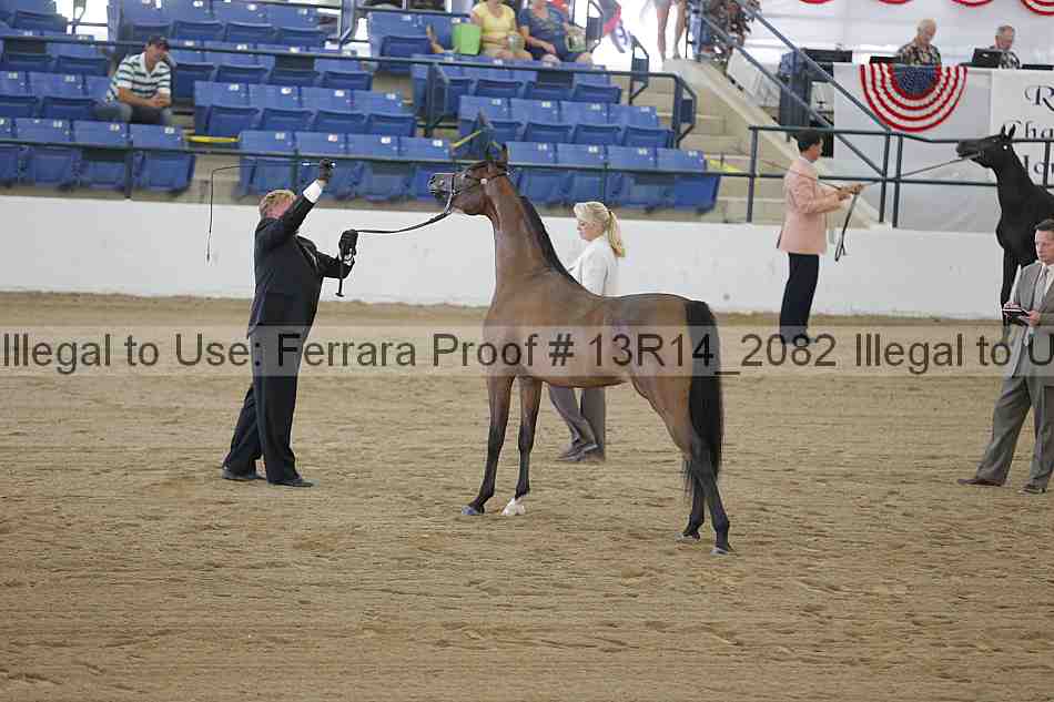 Proof Number 13r14_2082