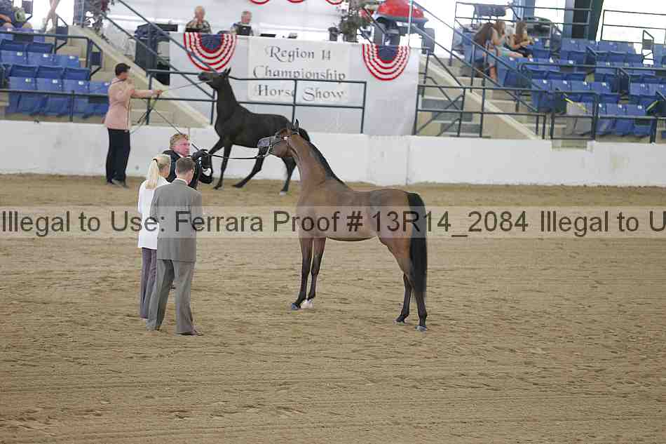 Proof Number 13r14_2084