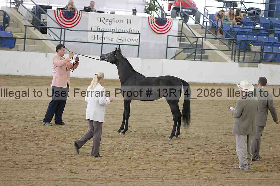 Proof Number 13r14_2086