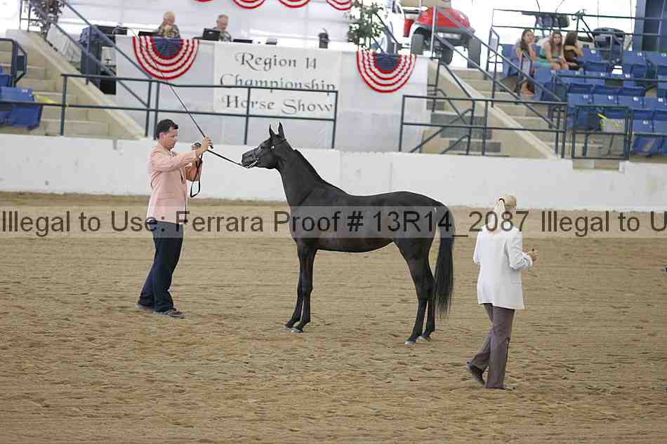 Proof Number 13r14_2087