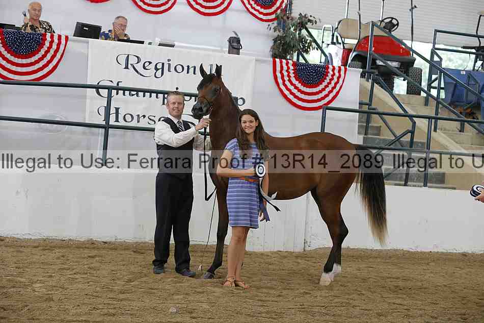 Proof Number 13r14_2089