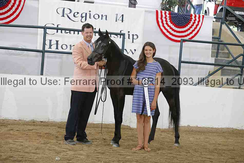 Proof Number 13r14_2093