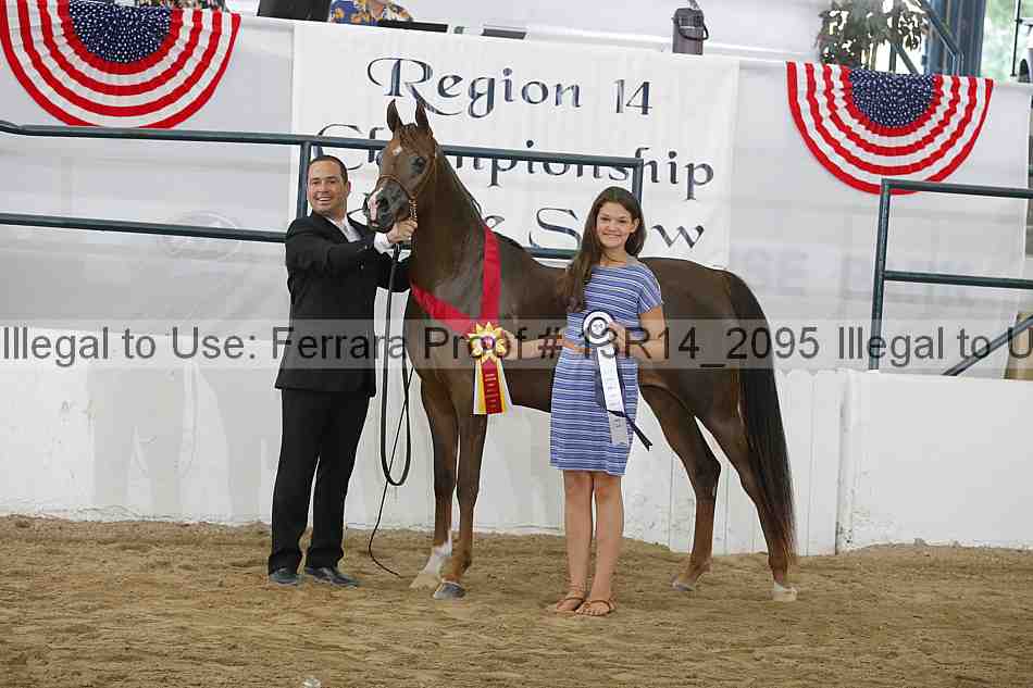 Proof Number 13r14_2095