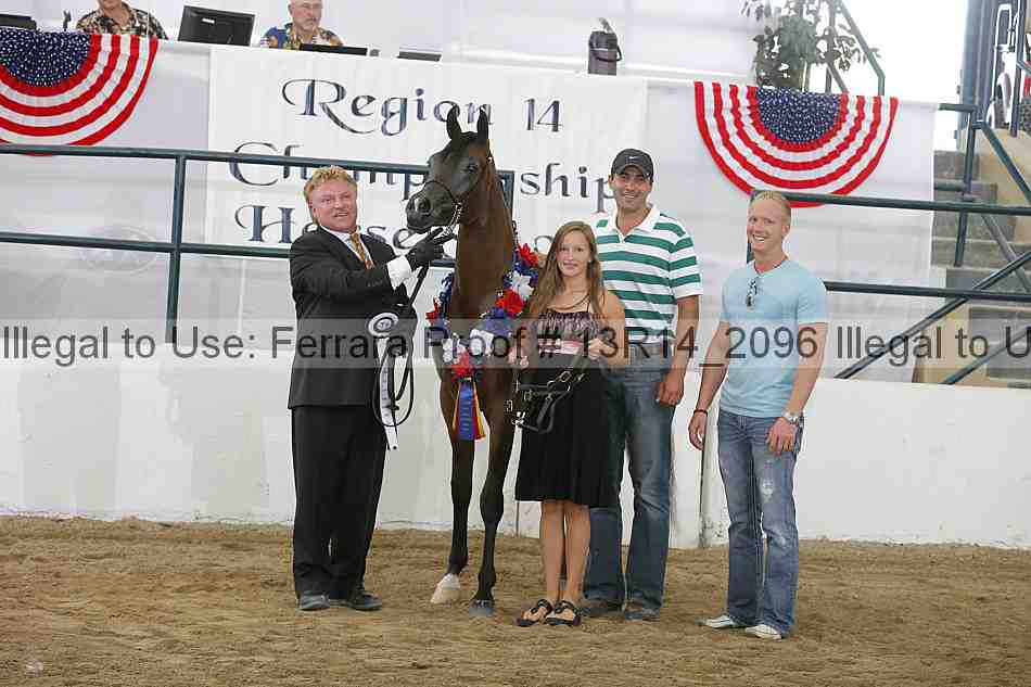 Proof Number 13r14_2096