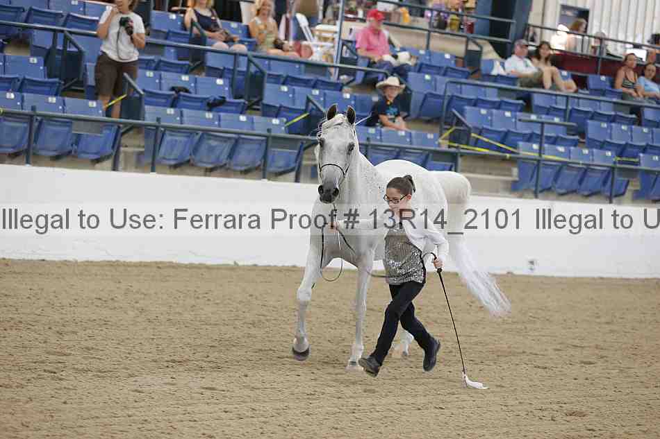 Proof Number 13r14_2101