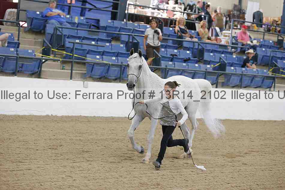 Proof Number 13r14_2102