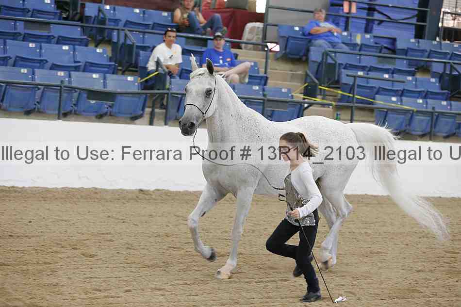 Proof Number 13r14_2103