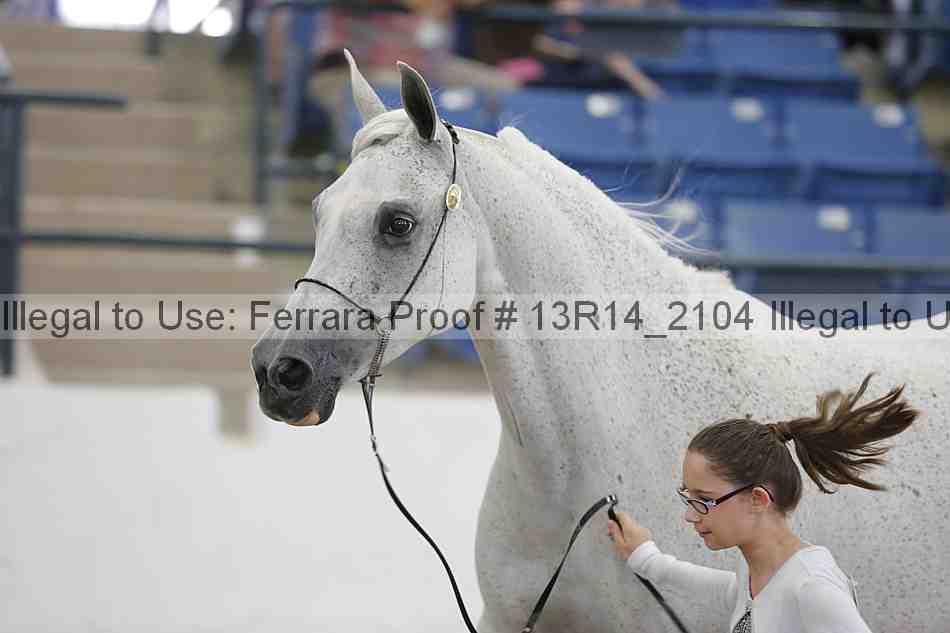 Proof Number 13r14_2104